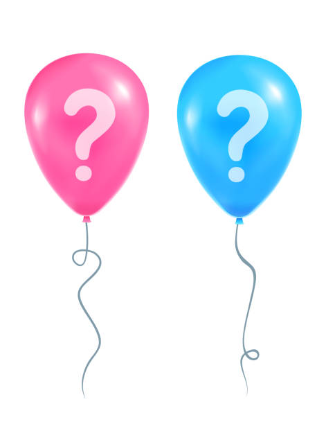 Two balloon blue and pink color vector art illustration