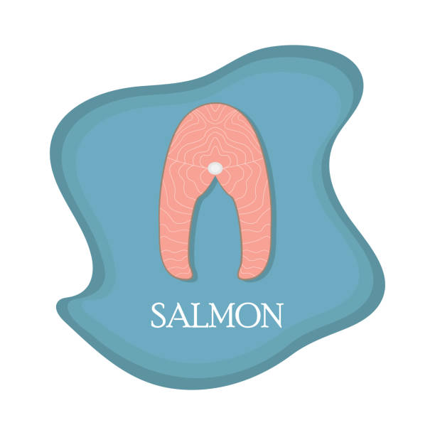 ilustrações de stock, clip art, desenhos animados e ícones de flat illustration of a delicious salmon steak on the blue background. - cooked barbecue eating serving
