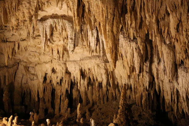 une stalagmite est un type de formation rocheuse qui s’élève du sol d’une grotte en raison de l’accumulation de matériaux déposés sur le sol de coulures de plafond. - geological feature cave sedimentary rock limestone photos et images de collection