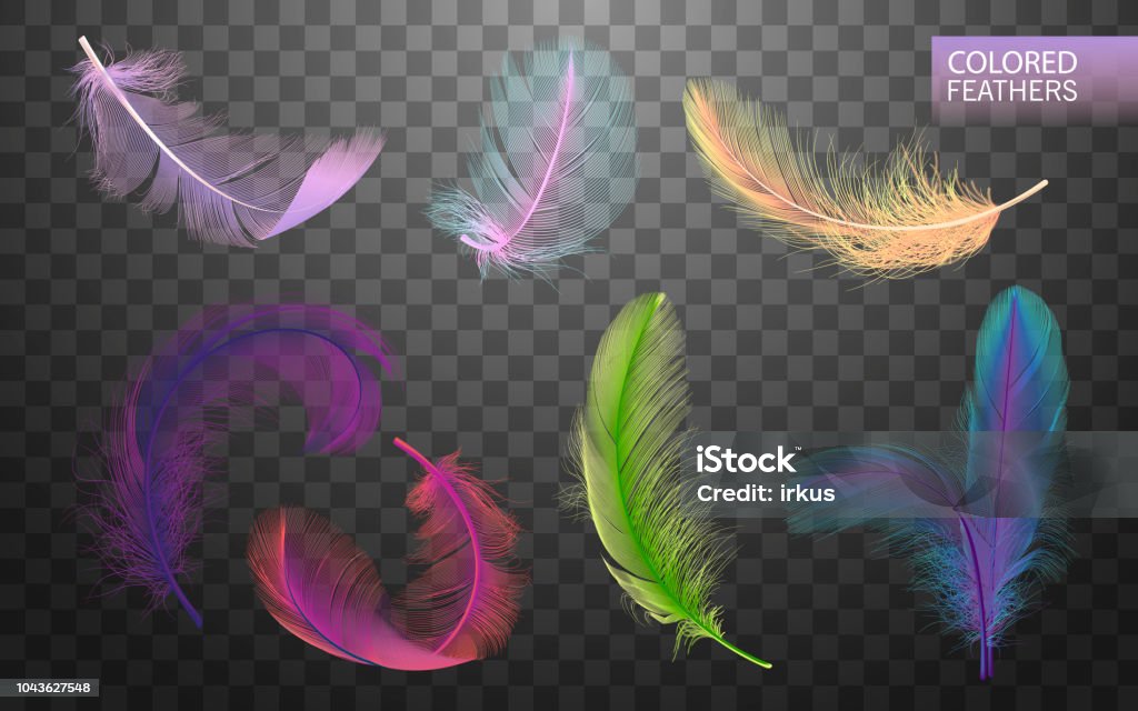 Set of isolated falling colored fluffy twirled feathers on transparent background in realistic style. Light cute feathers design. Elements for design. Vector Illustration Set of isolated falling colored fluffy twirled feathers on transparent background in realistic style. Light cute feathers design. Elements for design vector illustration Vector stock vector