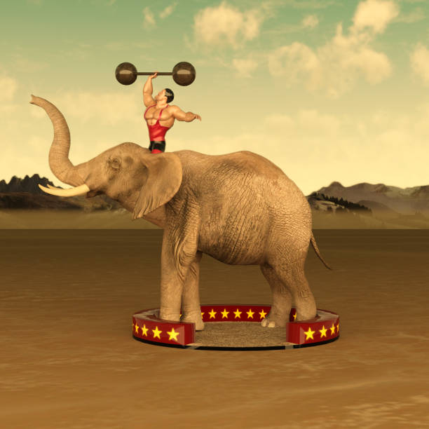 elefante de circo carnaval e strongman - circus strongman men muscular build - fotografias e filmes do acervo