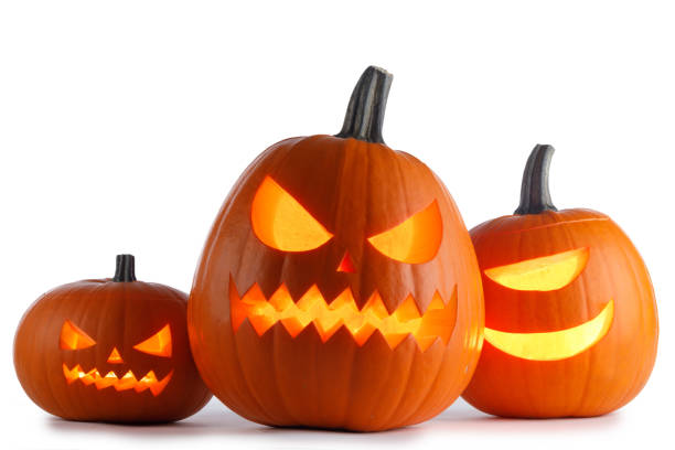 istock Halloween Pumpkins on white 1043632022