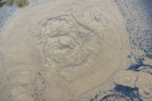istock The spring key of clean water hits from under the sand 1043644790