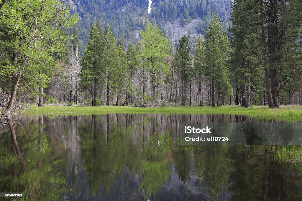 Yosemite National Park  American Culture Stock Photo