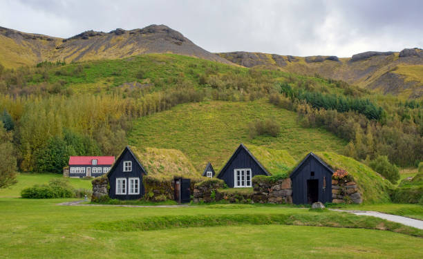 Icelandic turf-roofed houses stock photo