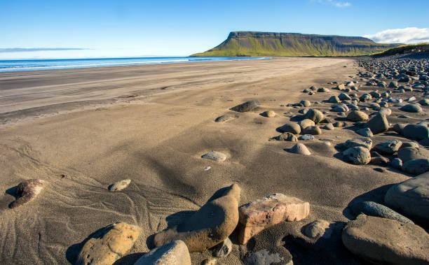 Deserted Icelandic beach stock photo