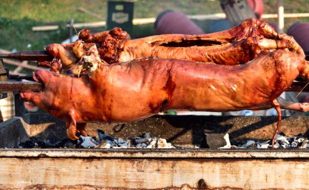 roast piglets and lambs on a spit - roasted spit roasted roast pork barbecue grill imagens e fotografias de stock