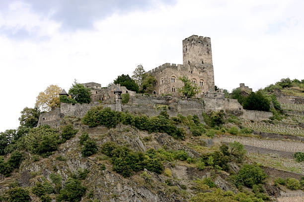 istock Castle Above the Rhine 104365451