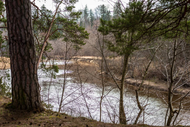 istock lake shore with grass and trees in spring 1043661306