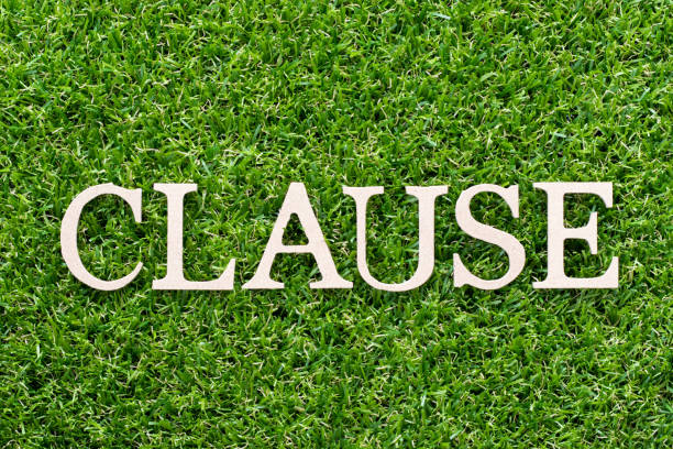 istock Wood alphabet in word clause on artificial green grass background 1043667154