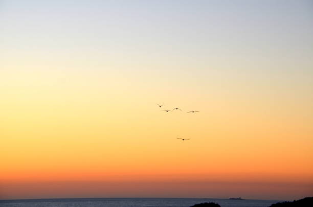 Beautiful sunset for its color and the sensation of relaxation that its waters transmit when looking at the horizon
