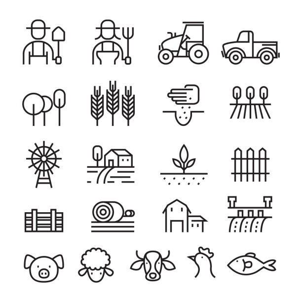Farm and Agriculture Line Icons Set Farmers, Plantation, Gardening, Animals, Objects fish village stock illustrations