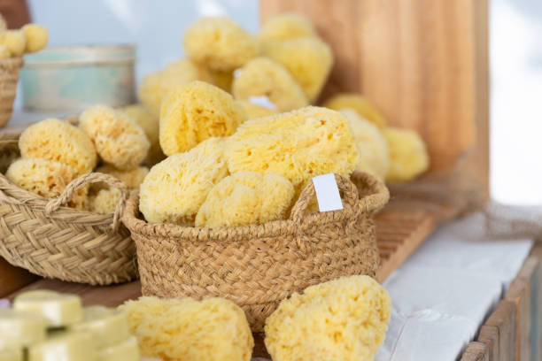 natural sponge natural sea sponge in a hippie market in Ibiza, Spain sponge bath sponge nature animal stock pictures, royalty-free photos & images