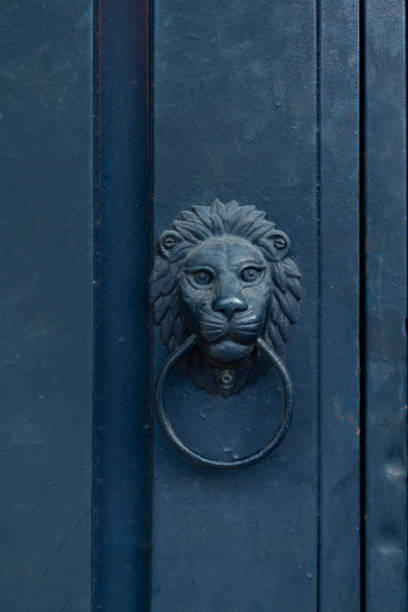 istock Lion-like moonmedmot 1043689140