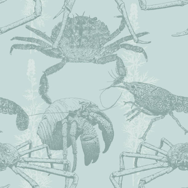 Crab Seamless Repeat Pattern Vector seamless repeat. All colors are layered and grouped separately.
Easily editable hermit crab stock illustrations