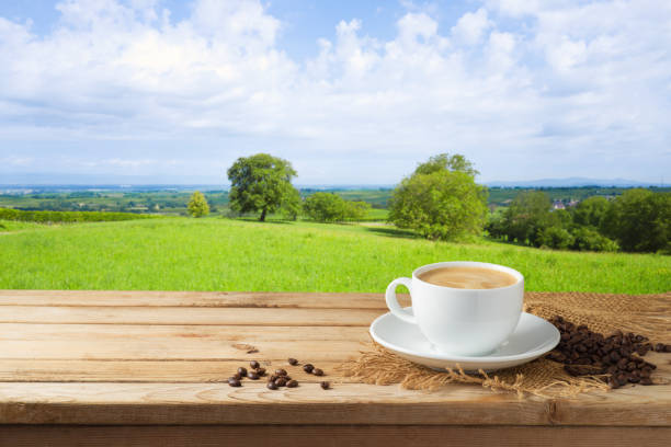 istock Coffee cup on wooden table over beautiful landscape background 1043689454
