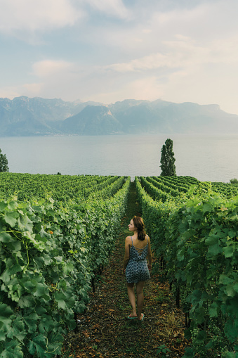 Young Caucasian woman  looking at scenic  view of vineyards near Geneva lake