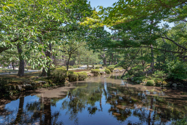 summer scenery of kenrokuen garden - japanese culture landscape landscaped ornamental garden imagens e fotografias de stock