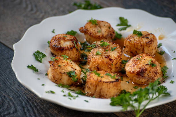 istock sea scallops on white plate with green herbs 1043694260