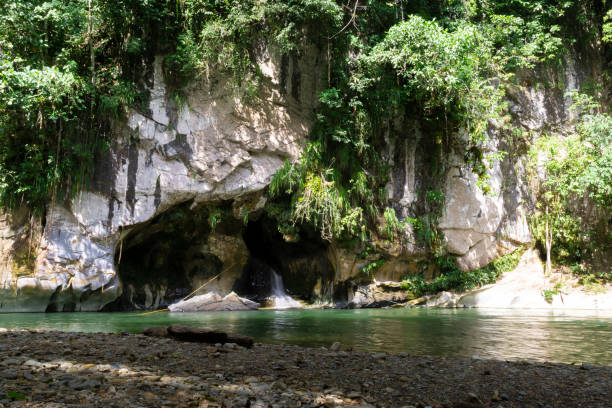 istock Beautiful natural river in green forest 1043700746