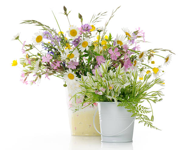 istock Spring colorful flower arrangement in white vases 104371055