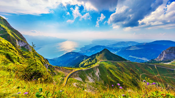 Rochers de Naye peak, Alps Mountains, Switzerland Scenic summer panorama from Rochers de Naye mountain peak with green grassy hills, flower meadows and Geneva Lake in Alps, Switzerland geneva switzerland photos stock pictures, royalty-free photos & images