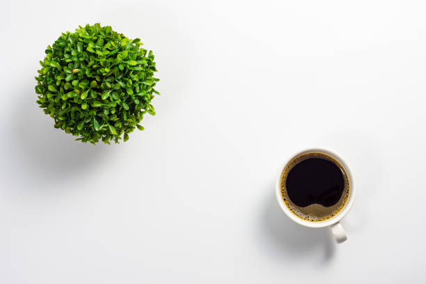White office desk with coffee cup and green plant pot stock photo