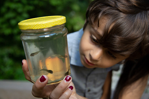 A mother and son look into a jar with tadpoles in it.  The mother holds the jar.  She has long dark hair.  The son in is looking in the jar, he has shaggy brown hair.  They are Iranian ethnicity.  They are outdoors, there is greenery in the background.