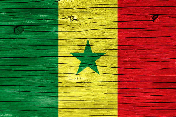 istock Flag of Senegal on Wood 1043734622