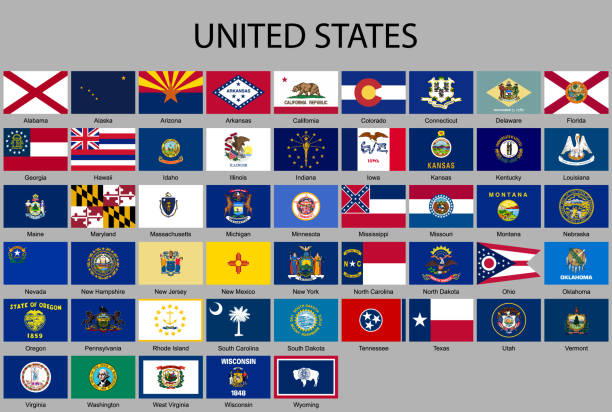 ilustraciones, imágenes clip art, dibujos animados e iconos de stock de todas las banderas de los estados unidos de américa - michigan maryland