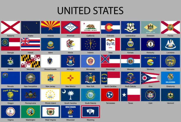 Vector illustration of all Flags of the United States of America