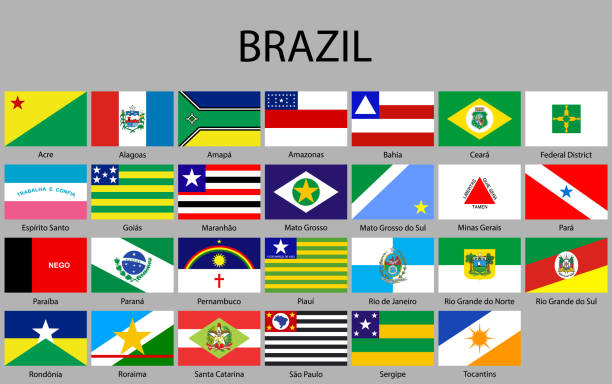 all Flags of states of Brazil. all Flags of states of Brazil. Vector illustraion rio parana stock illustrations