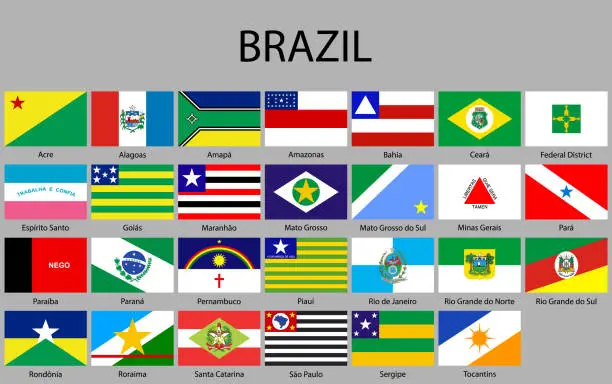 Vector illustration of all Flags of states of Brazil.