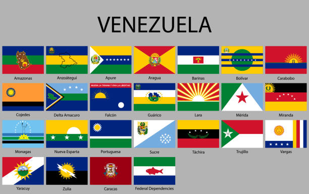 all Flags states of Venezuela. all Flags states of Venezuela. Vector illustraion delta amacuro stock illustrations