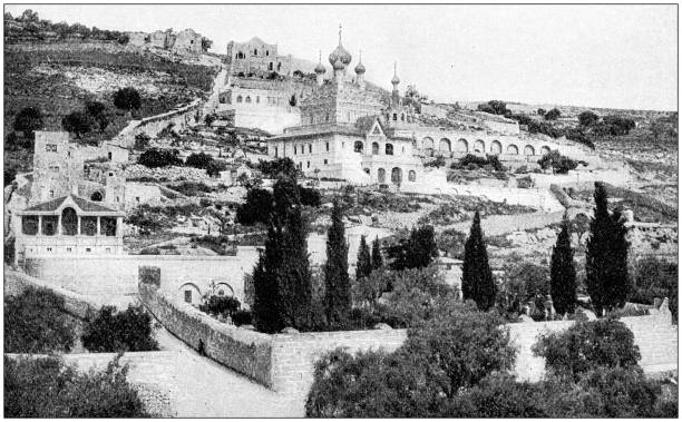 Antique photograph: Garden of Gethsemane Antique photograph: Garden of Gethsemane 1890 stock illustrations