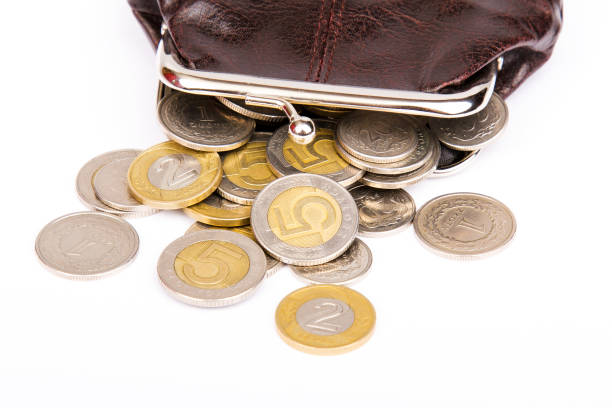 istock Old brown purse with scattered coins. Polish zloty coins 1043738708
