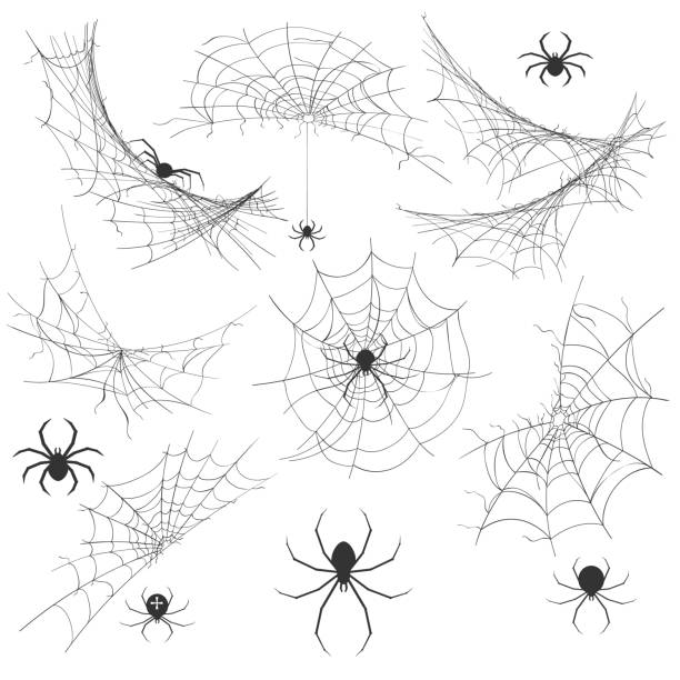 Spider with cobweb Spider with cobweb. Venom spider vector illustration for halloween background graphics, vintage creepy corner spiderweb decoration venom symbol stock illustrations