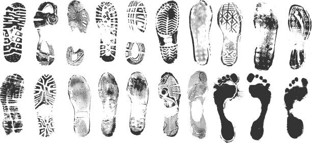 Footprints footprint stains isolated on white shoe print stock illustrations