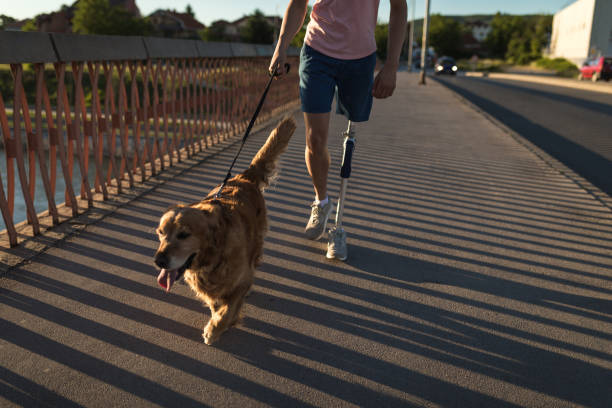 istock Young man with a artificial leg walking his dog 1043751456