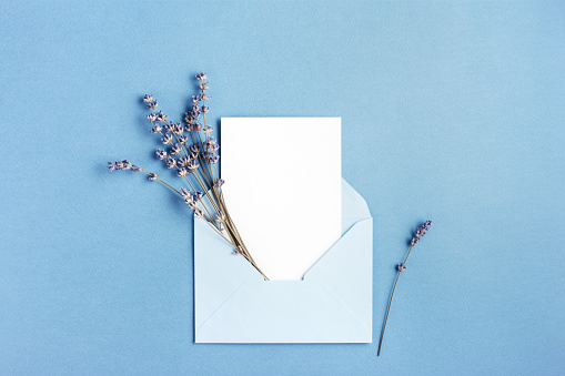 Mockup with card and lavender in blue envelope. Top view.