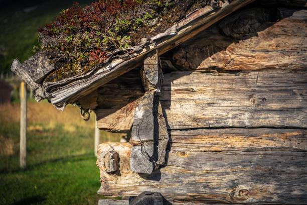 istock Wooden Cabin Closeup 1043756742
