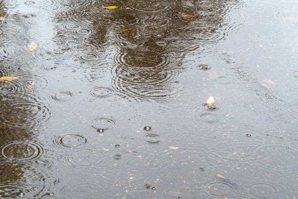 istock raindrops fall in puddle with leaves on road 1043770146