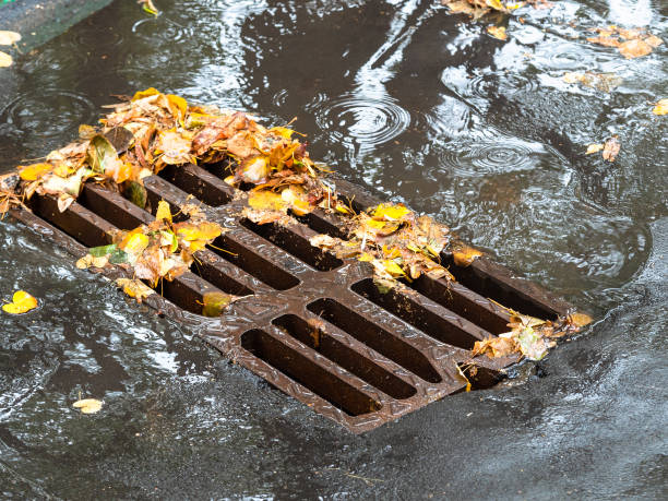 istock fallen leaves and puddle near urban drain grid 1043770190