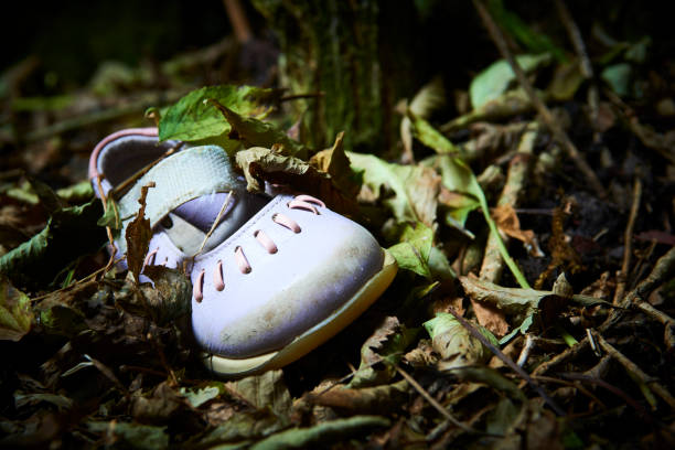 istock Abandoned baby shoe lying in old leaves 1043774590