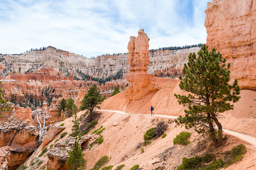 Hiker woman in Bryce Canyon hiking looking and enjoying view during her hike wearing hikers backpack. Bryce Canyon National Park landscape, Utah, United States.