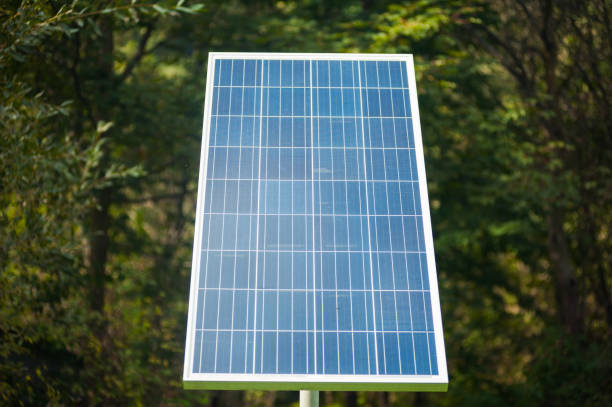 istock Solar panels for electricity production. Alternative energy 1043778600