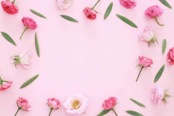 istock Beautiful pink roses heads on pink background 1043787798