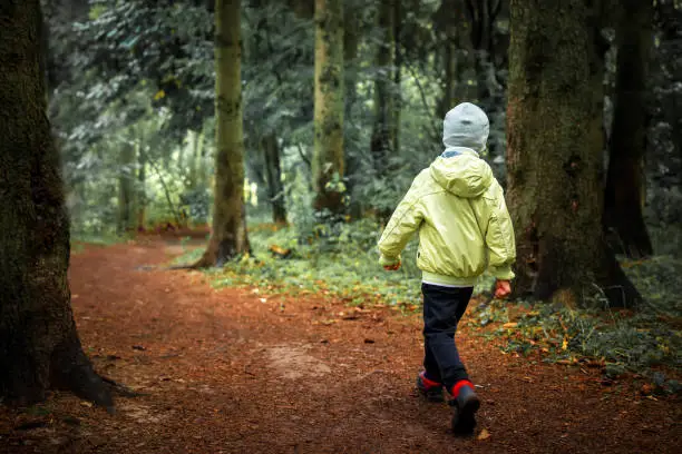Photo of Child lost in forest. Little boy walks in green forest. Hiking. Children in outdoor in woodland. Lonely boy in forest.