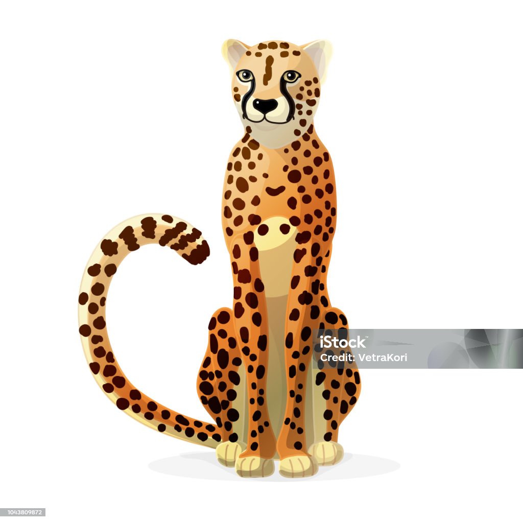 Vector Cartoon Animal Clip Art Stock Illustration - Download Image Now -  Cheetah, Icon, Sitting - iStock