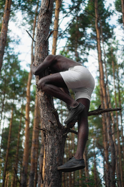 mâle noir avec sans chemise grimpe un arbre - sportsman tree people recreational pursuit photos et images de collection